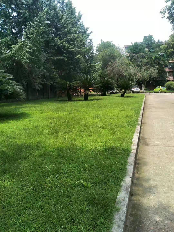 时搏（中国）